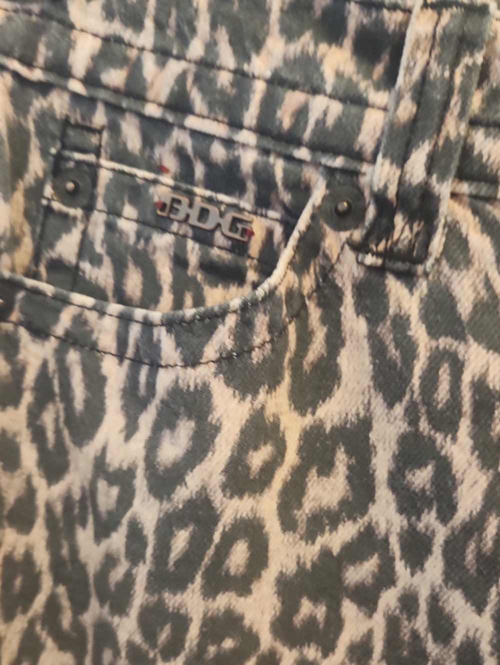 BDG Urban Outfitters Kayla Lowrider Leopard Pants - Picture 2 of 10